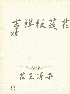 吉祥纹莲花楼txt