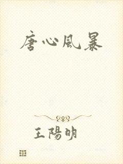 唐心风暴