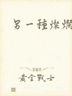 另一种灿烂生活封面