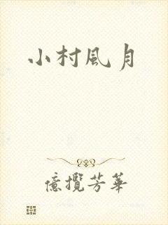 小村风月封面
