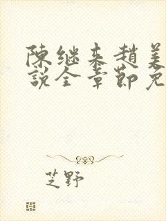 陈继来赵美媛小说全章节免费阅读