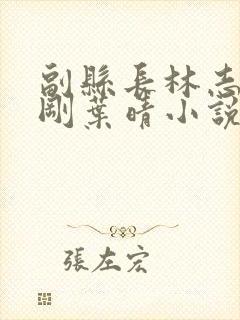 副县长林志强邓刚叶晴小说全文阅读