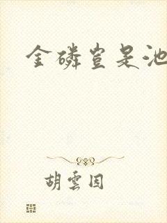 金磷岂是池中物封面