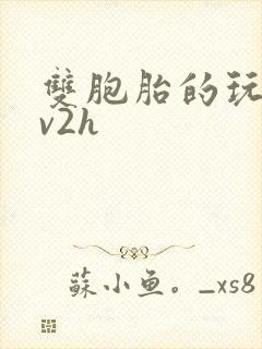 双胞胎的玩具1v2h