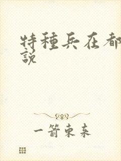 特种兵在都市小说封面