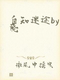自知迷途by二飞封面