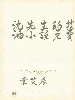 沈先生的花式调酒小说免费阅读