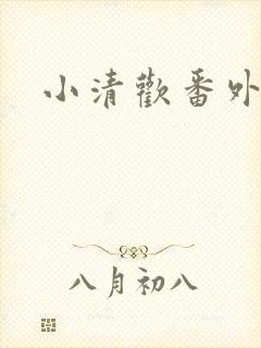 小清欢番外封面