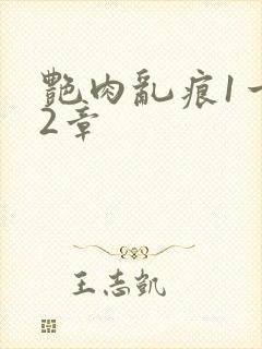 艳肉乱痕1一12章