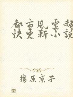 都市风云超前超快更新小说