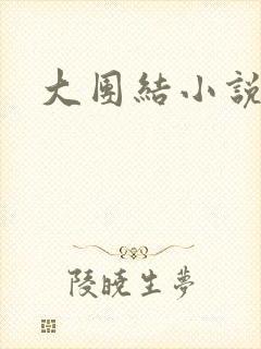 大团结小说下载