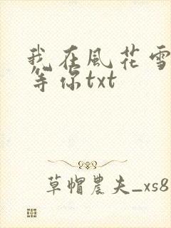 我在风花雪月中等你txt