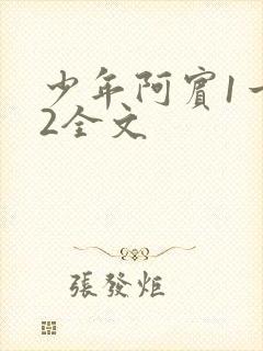 少年阿宾1一72全文