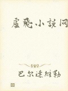 卢飞小说网