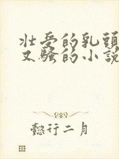 壮受的乳头又大又骚的小说