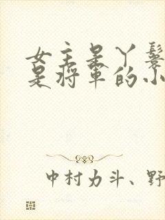 女主是丫鬟男主是将军的小说