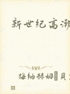 新世纪高潮战队