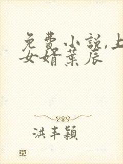 免费小说,上门女婿叶辰