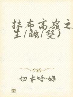 抹布高岭之花(生/触/双)封面