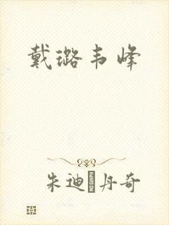 戴璐韦峰封面
