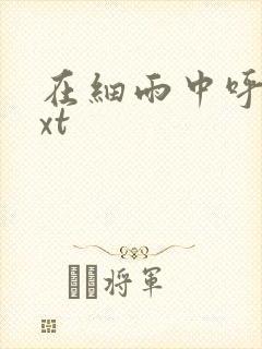 在细雨中呼喊txt封面