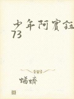 少年阿宾钰慧篇73