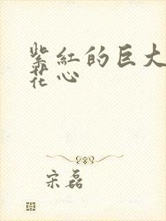 紫红的巨大顶开花心