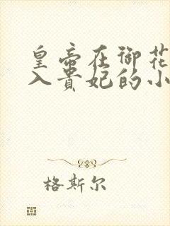 皇帝在御花园进入贵妃的小说