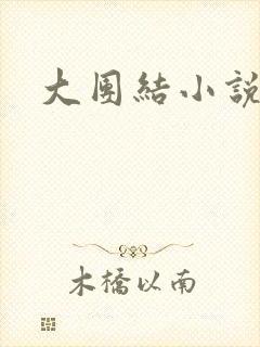 大团结小说全文