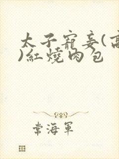 太子宠妾(高肉)红烧肉包