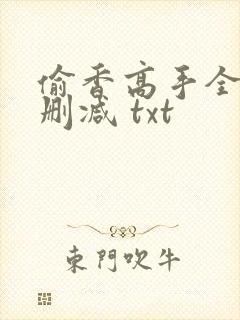 偷香高手全文无删减 txt