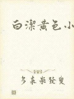 白洁黄色小说