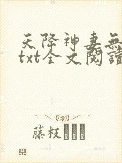 天降神妻无删减txt全文阅读下载