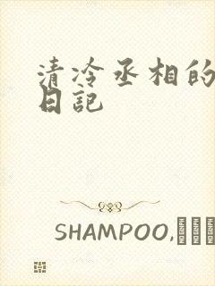 清冷丞相的挨抄日记