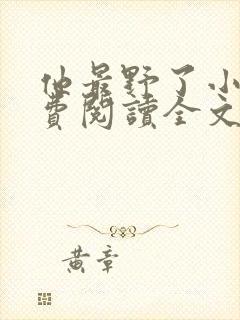 他最野了小说免费阅读全文