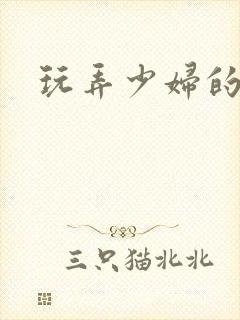 玩弄少妇的小说