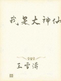 我是大神仙小说