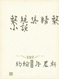 系统集精系统 小说