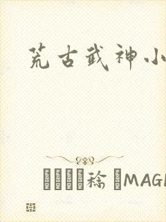 荒古武神小说
