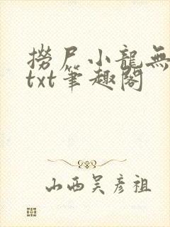 捞尸小龙无弹窗txt笔趣阁