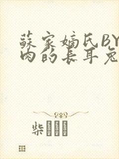 苏家嫡氏BY吃肉的长耳兔