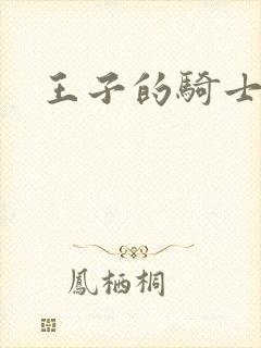 王子的骑士