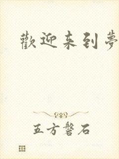 欢迎来到梦乐园