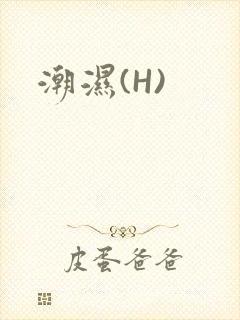 潮湿(H)封面