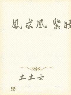 凤求凰 紫晓封面