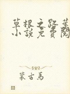 草根之路叶泽涛小说免费阅读全