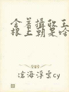 含着摄政王的紫根上朝是啥小说封面