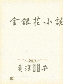 金银花小说乐可