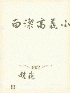 白洁高义小说封面