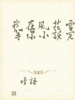 我在风花雪月里等你小说完整免费